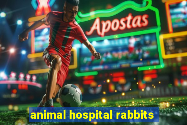 animal hospital rabbits