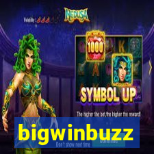 bigwinbuzz